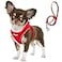 Fida Comfy Dog Harness with Leash Soft Puppy Vest Escape Proof Breathable Lightweight Soft Mesh Adjustable Reflective Stepin Harness for Small Pet Walking S Red