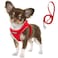 Fida Comfy Dog Harness with Leash Soft Puppy Vest Escape Proof Breathable Lightweight Soft Mesh Adjustable Reflective Stepin Harness for Small Pet Walking S Red