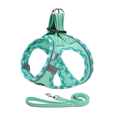 AMTOR Dog Harness with Leash SetUpgrade No Pull Reflective Stepin Air All Weather Puppy Harness with Padded Vest for Small Dogs and CatsTealSmall