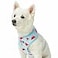 Blueberry Pet Summer Sparkle Dog Harness Vest Adjustable Small Size Chest Girth 16 21 Blue Zesty Fruit Watermelon Print Pet Harness