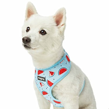 Blueberry Pet Summer Sparkle Dog Harness Vest Adjustable Small Size Chest Girth 16 21 Blue Zesty Fruit Watermelon Print Pet Harness