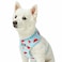 Blueberry Pet Summer Sparkle Dog Harness Vest Adjustable Small Size Chest Girth 16 21 Blue Zesty Fruit Watermelon Print Pet Harness