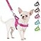 SlowTon No Pull Small Dog Harness and Leash Set Puppy Soft Vest Harness Neck Chest Adjustable Reflective Lightweight Harness AntiTwist Pet Lead Combo for Small Medium Dogs Fuchsia S