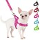 SlowTon No Pull Small Dog Harness and Leash Set Puppy Soft Vest Harness Neck Chest Adjustable Reflective Lightweight Harness AntiTwist Pet Lead Combo for Small Medium Dogs Fuchsia S