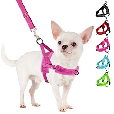 SlowTon No Pull Small Dog Harness and Leash Set Puppy Soft Vest Harness Neck Chest Adjustable Reflective Lightweight Harness AntiTwist Pet Lead Combo for Small Medium Dogs Fuchsia S