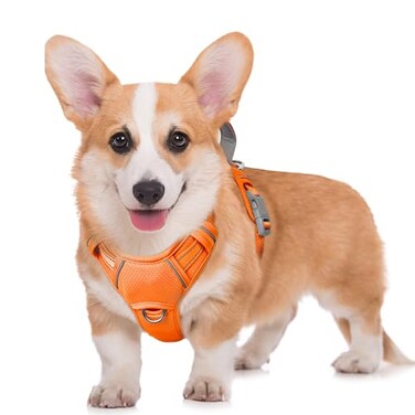 BARKBAY No Pull Dog Harness Large Reflective Dog Harness with Front Clip and Easy Control Handle for Walking Training Running with ID tag PocketOrangeM