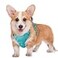 BARKBAY No Pull Dog Harness Large Reflective Dog Harness with Front Clip and Easy Control Handle for Walking Training Running with ID tag PocketOcean BlueM