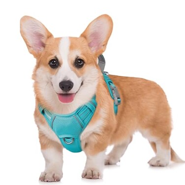 BARKBAY No Pull Dog Harness Large Reflective Dog Harness with Front Clip and Easy Control Handle for Walking Training Running with ID tag PocketOcean BlueM