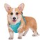 BARKBAY No Pull Dog Harness Large Reflective Dog Harness with Front Clip and Easy Control Handle for Walking Training Running with ID tag PocketOcean BlueM