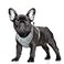 BARKBAY No Pull Dog Harness Large Reflective Dog Harness with Front Clip and Easy Control Handle for Walking Training Running with ID tag PocketGreyS