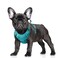 BARKBAY No Pull Dog Harness Large Reflective Dog Harness with Front Clip and Easy Control Handle for Walking Training Running with ID tag PocketOcean BlueS