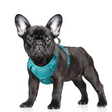 BARKBAY No Pull Dog Harness Large Reflective Dog Harness with Front Clip and Easy Control Handle for Walking Training Running with ID tag PocketOcean BlueS