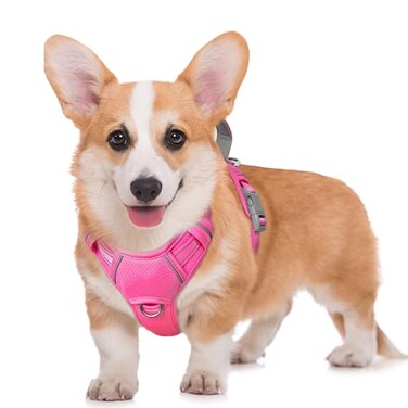 BARKBAY No Pull Dog Harness Large Reflective Dog Harness with Front Clip and Easy Control Handle for Walking Training Running with ID tag PocketPinkM