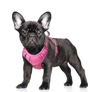 BARKBAY No Pull Dog Harness Large Reflective Dog Harness with Front Clip and Easy Control Handle for Walking Training Running with ID tag PocketPinkS