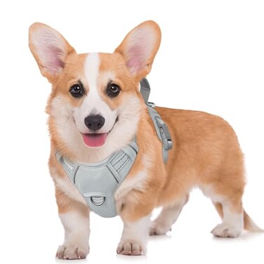 BARKBAY No Pull Dog Harness Large Reflective Dog Harness with Front Clip and Easy Control Handle for Walking Training Running with ID tag PocketGreyM