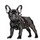 BARKBAY No Pull Dog Harness Large Reflective Dog Harness with Front Clip and Easy Control Handle for Walking Training Running with ID tag PocketBlackS