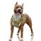 BARKBAY No Pull Dog Harness Large Reflective Dog Harness with Front Clip and Easy Control Handle for Walking Training Running with ID tag PocketCamoL
