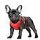 BARKBAY No Pull Dog Harness Large Reflective Dog Harness with Front Clip and Easy Control Handle for Walking Training Running with ID tag PocketRedS
