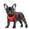 BARKBAY No Pull Dog Harness Large Reflective Dog Harness with Front Clip and Easy Control Handle for Walking Training Running with ID tag PocketRedS