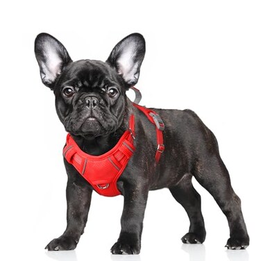 BARKBAY No Pull Dog Harness Large Reflective Dog Harness with Front Clip and Easy Control Handle for Walking Training Running with ID tag PocketRedS