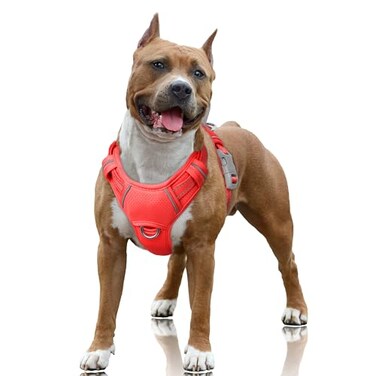 BARKBAY No Pull Dog Harness Large Reflective Dog Harness with Front Clip and Easy Control Handle for Walking Training Running with ID tag PocketRedL