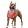 BARKBAY No Pull Dog Harness Large Reflective Dog Harness with Front Clip and Easy Control Handle for Walking Training Running with ID tag PocketRedL
