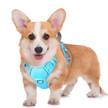 BARKBAY No Pull Dog Harness Large Reflective Dog Harness with Front Clip and Easy Control Handle for Walking Training Running with ID tag PocketBlueM