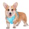 BARKBAY No Pull Dog Harness Large Reflective Dog Harness with Front Clip and Easy Control Handle for Walking Training Running with ID tag PocketBlueM