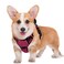 BARKBAY No Pull Dog Harness Large Reflective Dog Harness with Front Clip and Easy Control Handle for Walking Training Running with ID tag PocketPinkBlackM