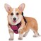 BARKBAY No Pull Dog Harness Large Reflective Dog Harness with Front Clip and Easy Control Handle for Walking Training Running with ID tag PocketPinkBlackM