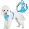 BARKBAY Dog Harness No Pull with ID Tag Pocket Heavy Duty Reflective Easy Control for Small DogsBlueS