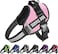 JSXD Dog HarnessNoPull Service Dog Harness with Handle Adjustable Outdoor Pet Dog Vest 3M Reflective Nylon Material Vest for BreedsEasy Control for Small Medium Large Dogs