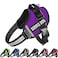 JSXD Dog HarnessNoPull Service Dog Harness with Handle Adjustable Outdoor Pet Dog Vest 3M Reflective Nylon Material Vest for BreedsEasy Control for Small Medium Large Dogs