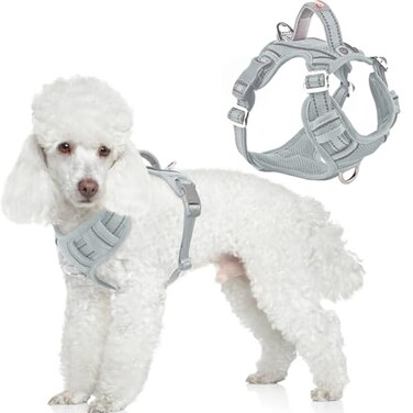 BARKBAY Dog Harness No Pull with ID Tag Pocket Heavy Duty Reflective Easy Control for Large DogsGreyS