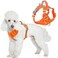 BARKBAY Dog Harness No Pull with ID Tag Pocket Heavy Duty Reflective Easy Control for Large DogsOrangeS