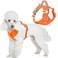 BARKBAY Dog Harness No Pull with ID Tag Pocket Heavy Duty Reflective Easy Control for Large DogsOrangeS