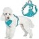 BARKBAY Dog Harness No Pull with ID Tag Pocket Heavy Duty Reflective Easy Control for Large DogsOcean BlueS
