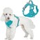 BARKBAY Dog Harness No Pull with ID Tag Pocket Heavy Duty Reflective Easy Control for Large DogsOcean BlueS