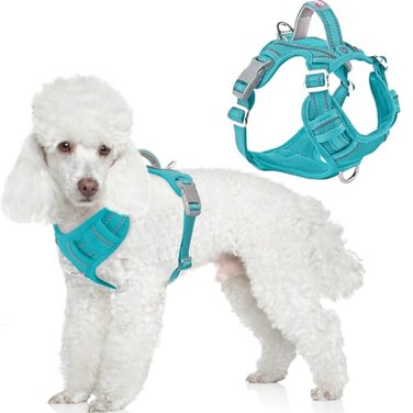 BARKBAY Dog Harness No Pull with ID Tag Pocket Heavy Duty Reflective Easy Control for Large DogsOcean BlueS