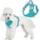 BARKBAY Dog Harness No Pull with ID Tag Pocket Heavy Duty Reflective Easy Control for Large DogsOcean BlueS