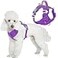 BARKBAY Dog Harness No Pull with ID Tag Pocket Heavy Duty Reflective Easy Control for Large DogsPurpleS