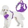 BARKBAY Dog Harness No Pull with ID Tag Pocket Heavy Duty Reflective Easy Control for Large DogsPurpleS