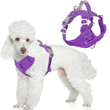 BARKBAY Dog Harness No Pull with ID Tag Pocket Heavy Duty Reflective Easy Control for Large DogsPurpleS