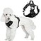 BARKBAY Dog Harness No Pull with ID Tag Pocket Heavy Duty Reflective Easy Control for Small DogsBlackS
