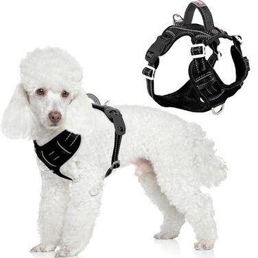 BARKBAY Dog Harness No Pull with ID Tag Pocket Heavy Duty Reflective Easy Control for Small DogsBlackS