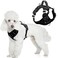 BARKBAY Dog Harness No Pull with ID Tag Pocket Heavy Duty Reflective Easy Control for Small DogsBlackS