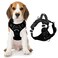 BARKBAY Dog Harness No Pull with ID Tag Pocket Heavy Duty Reflective Easy Control for Large DogsBlackM