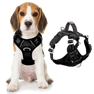 BARKBAY Dog Harness No Pull with ID Tag Pocket Heavy Duty Reflective Easy Control for Large DogsBlackM