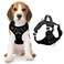 BARKBAY Dog Harness No Pull with ID Tag Pocket Heavy Duty Reflective Easy Control for Large DogsBlackM