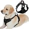 BARKBAY Dog Harness No Pull with ID Tag Pocket Heavy Duty Reflective Easy Control for Large DogsBlackL